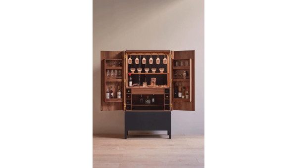Bar Modeli 010